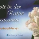 Gott in der Natur begegnen Gertraud-Perlen Nr. 1